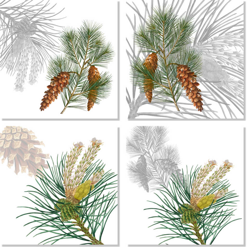 Set Of 4 Napkins Le Sapin 100% Made in Italy - The Napking