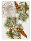 Küchentücher «Le Sapin», 100% Made in Italy The Napking