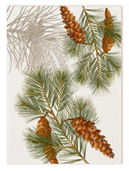 Küchentücher «Le Sapin», 100% Made in Italy The Napking