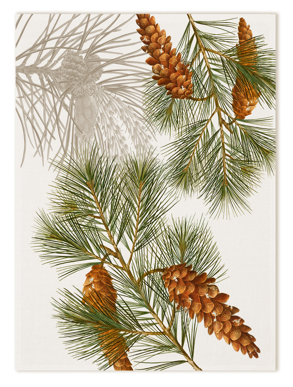 Paño de cocinas «Le Sapin», 100% Made in Italy The Napking