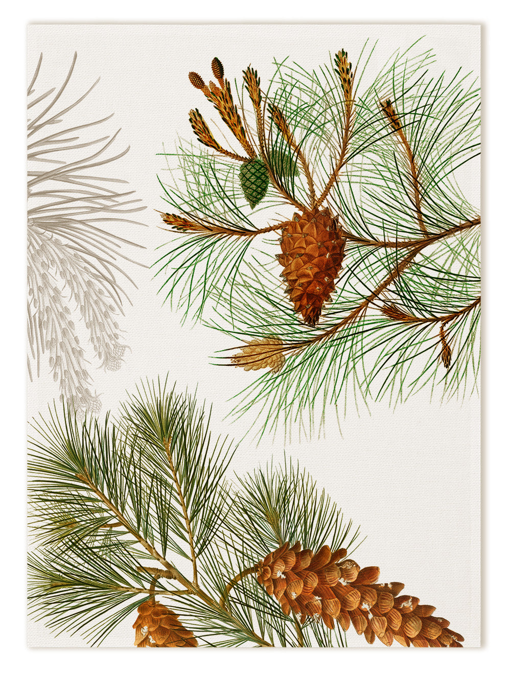 Paño de cocinas «Le Sapin», 100% Made in Italy The Napking
