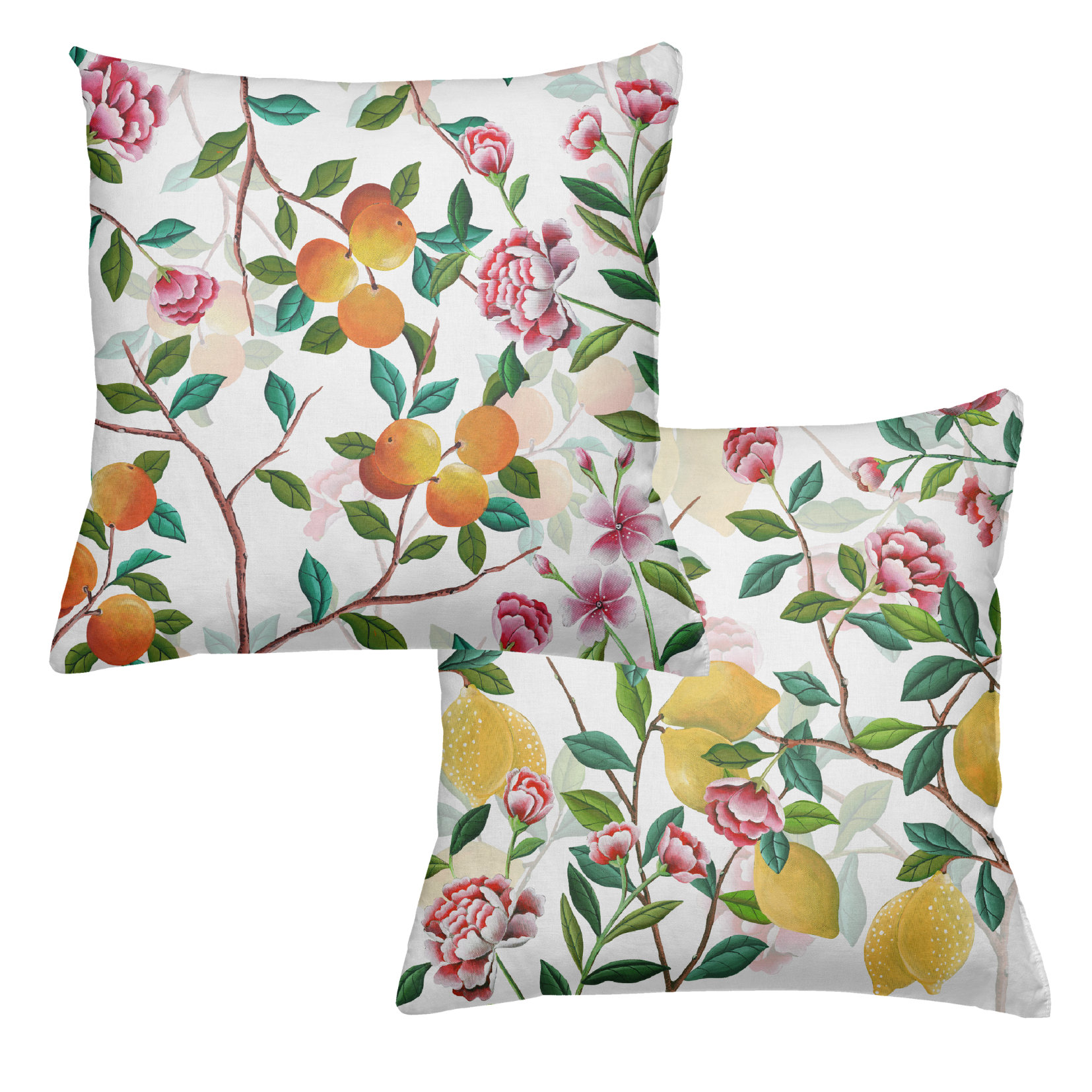 Les Agrumes Cushion Canvas