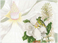 Loma rectangular hardboard and cork placemats with botanical print