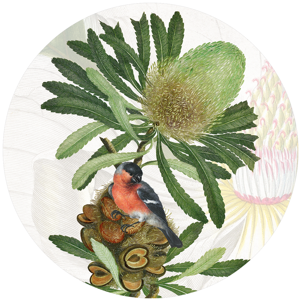 Loma round hardboard and cork placemats with botanical print, view 2