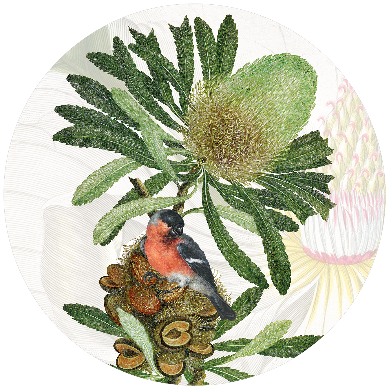 Loma round hardboard and cork placemats with botanical print, view 2