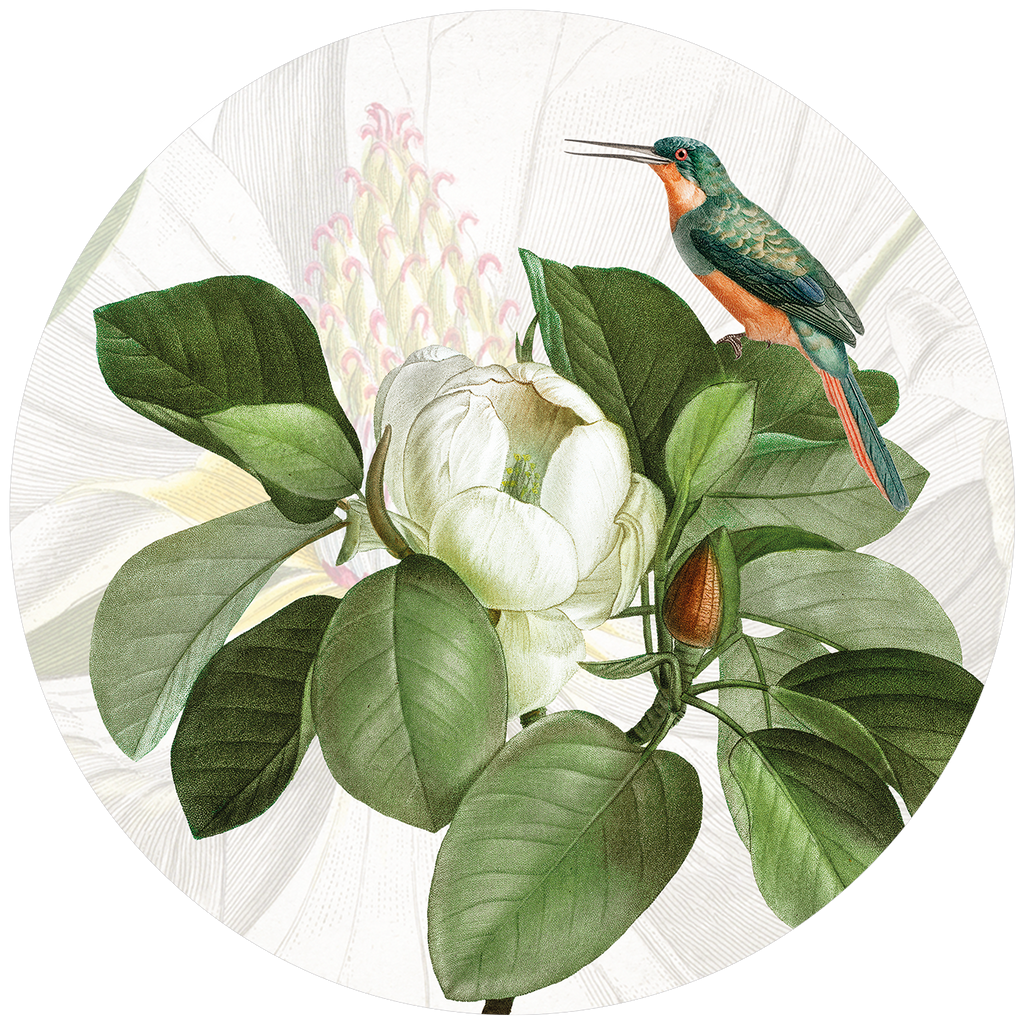 Loma round hardboard and cork placemats with botanical print, view 3