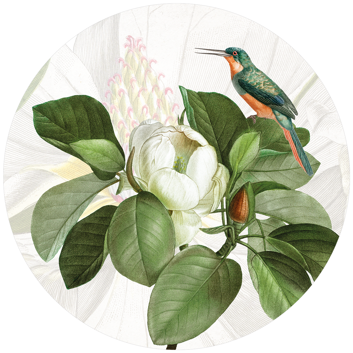 Loma round hardboard and cork placemats with botanical print, view 3