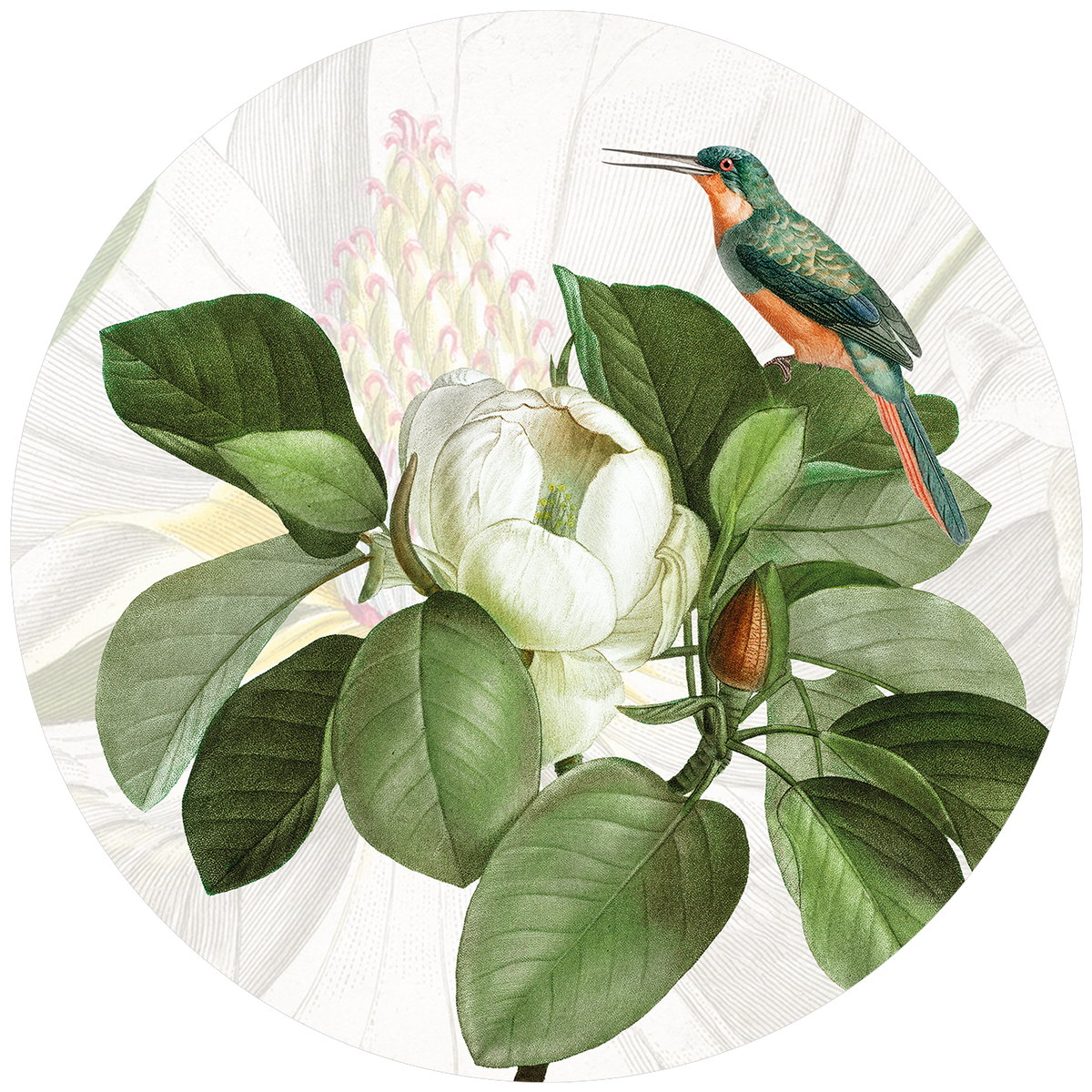 Loma round hardboard and cork placemats with botanical print, view 3