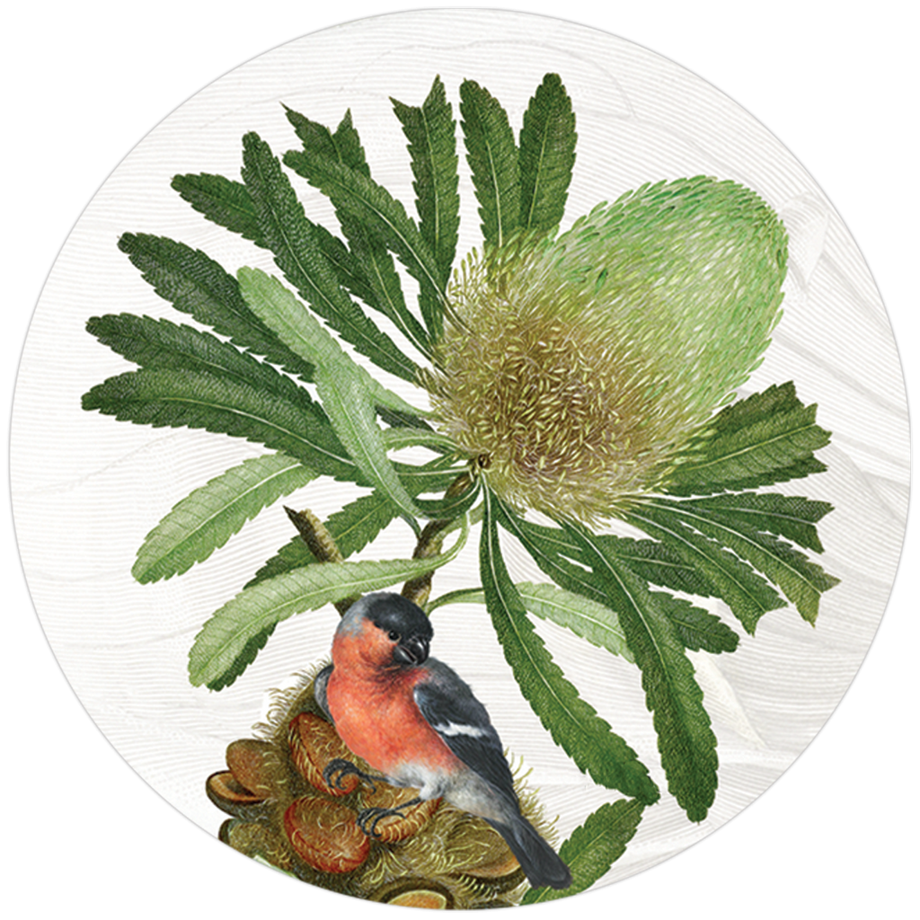 Loma wood and cork coasters with botanical print, view 2