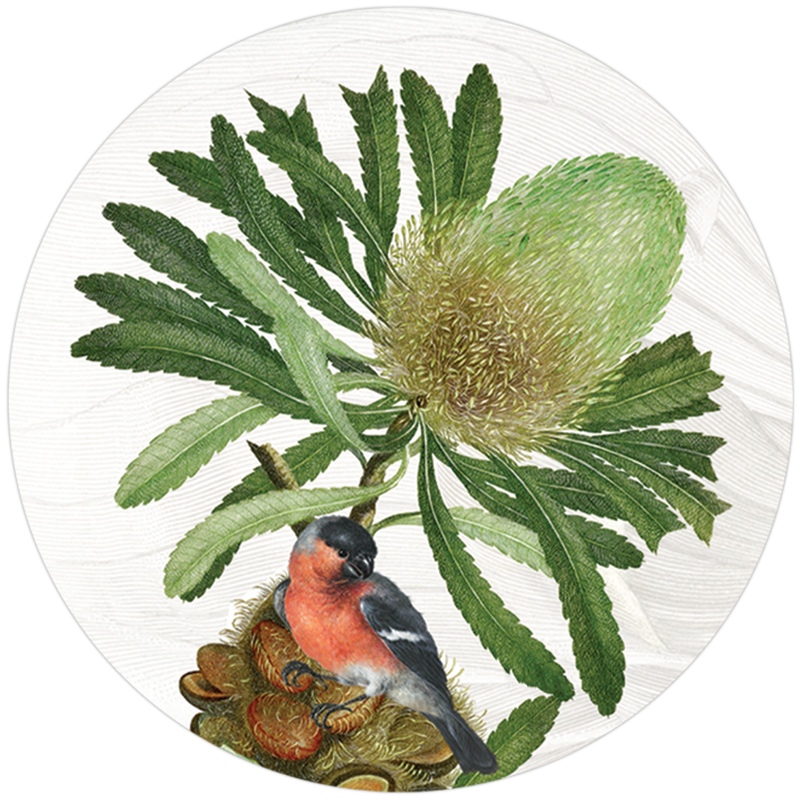 Loma wood and cork coasters with botanical print, view 2