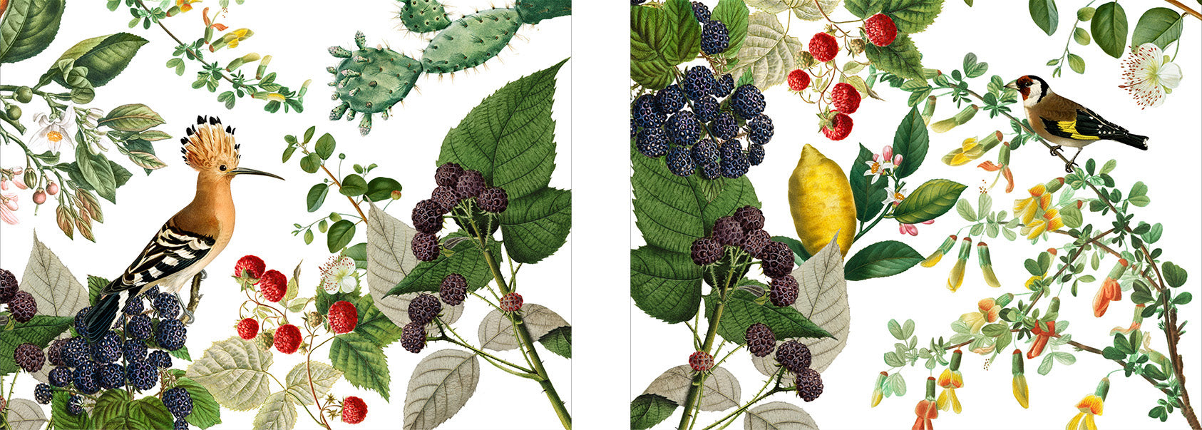 Set of 2 rectangular hardboard placemats Montedoro, 100% Made in Italy