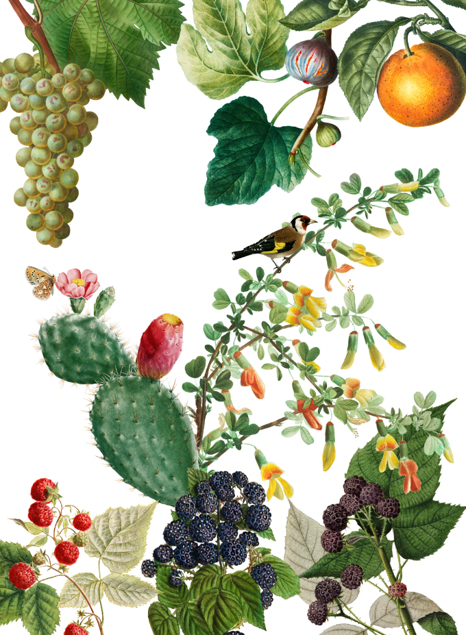 Kitchen Towels Montedoro 100% Made in Italy