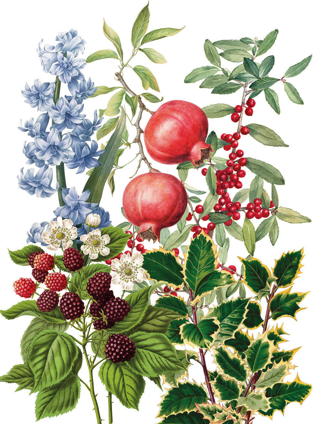 Kitchen Towels «Natalia», 100% Made in Italy - The Napking