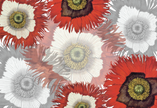 Tablecloths «Papaver» 100% Made in Italy