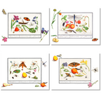 Set aus 4 Tischsets «Anselmus» 100% Made in Italy The Napking