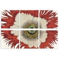 Set of 6 Napkins Papaver 100% Made in Italy The Napking