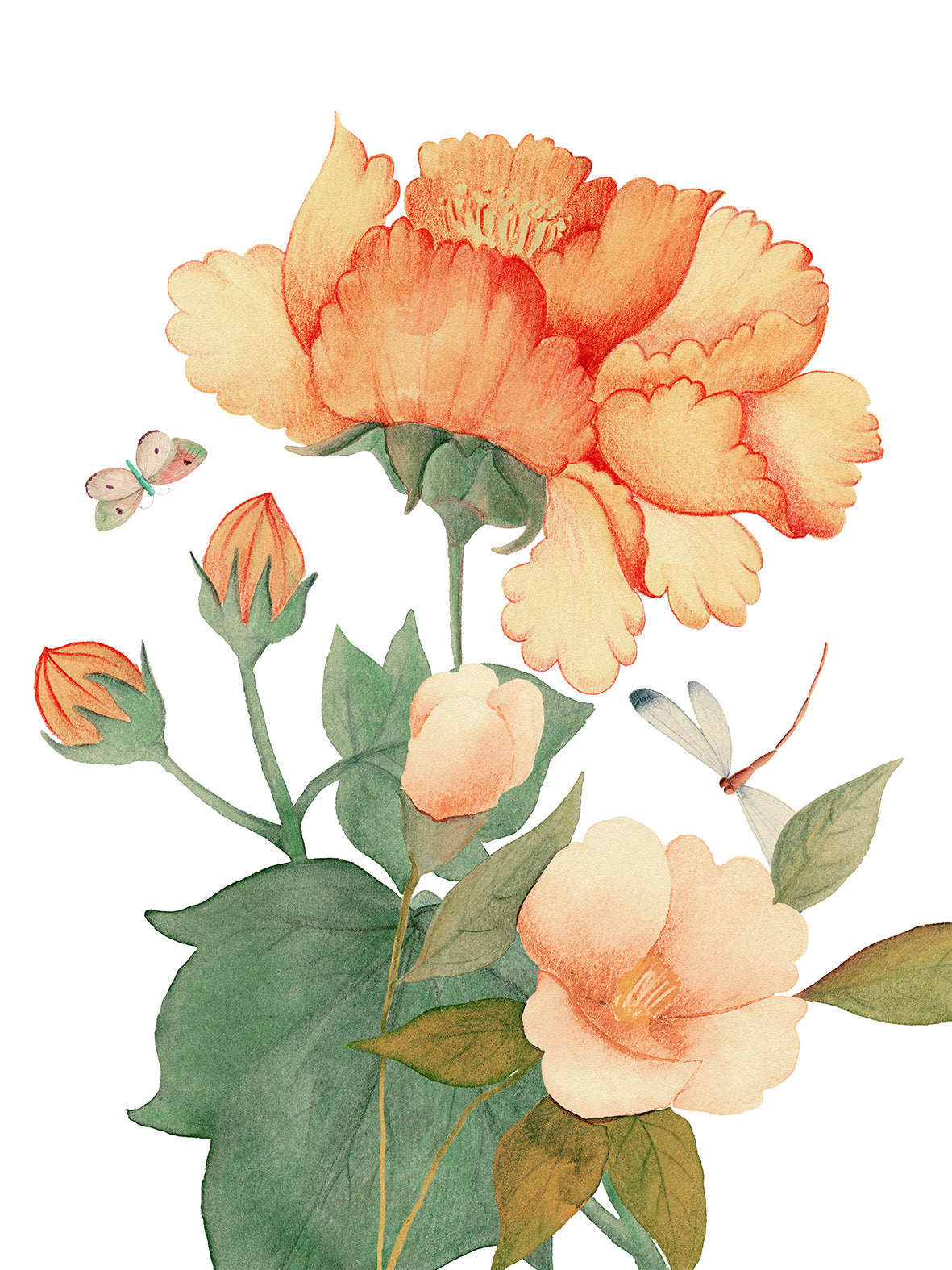 Paño de cocinas «Peony», 100% Made in Italy - The Napking