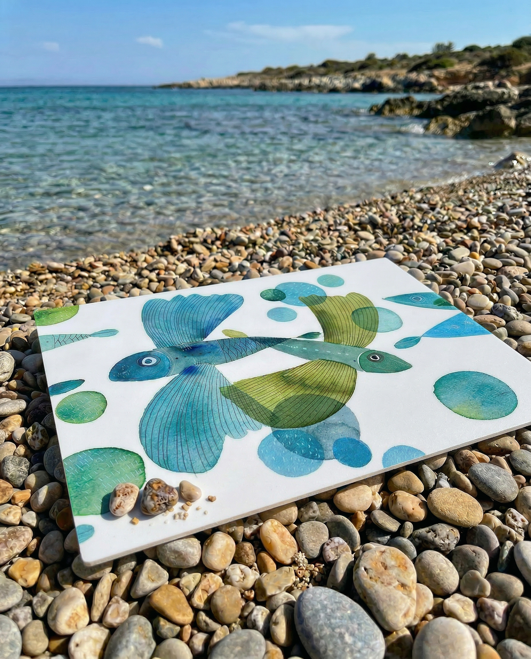 Set of 2  Pesci Volanti Stone Mat PVC placemats