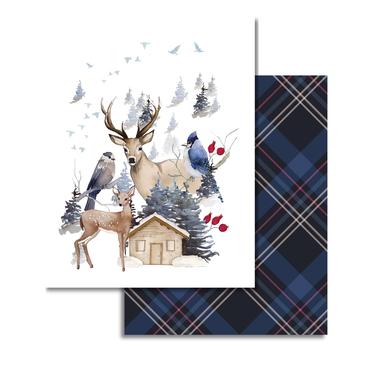 Buck terciopelo Plaid