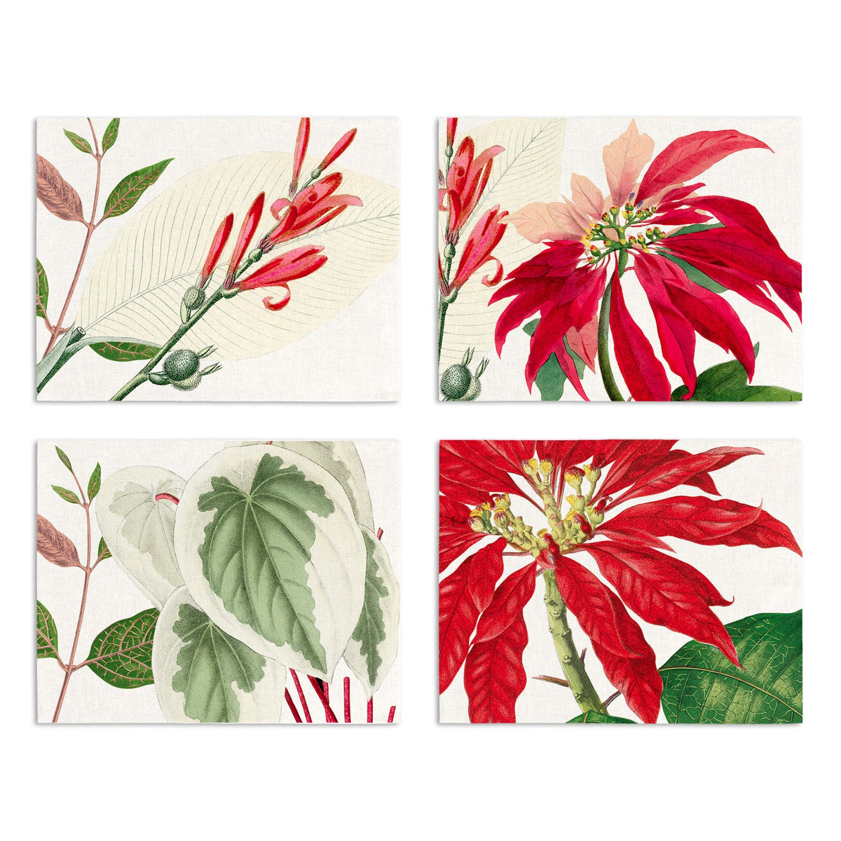 Set of 4 Placemats «Poinsetta» Linen 100% Made in Italy The Napking
