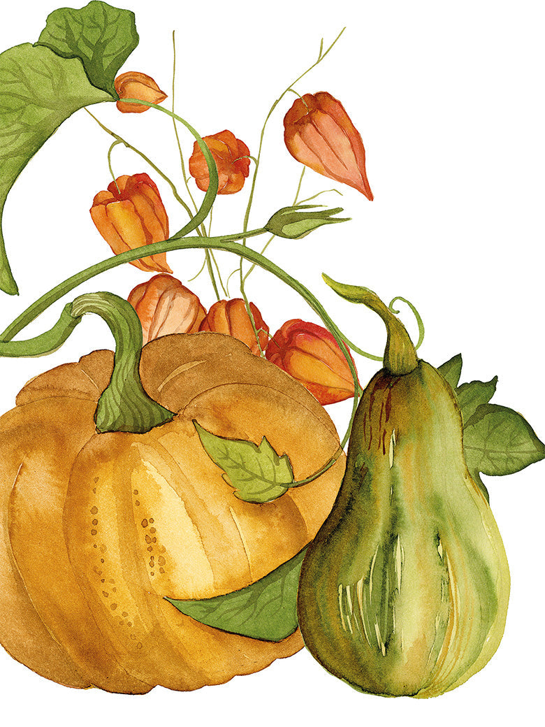 Kitchen Towels Potirons 100% Made in Italy - The Napking