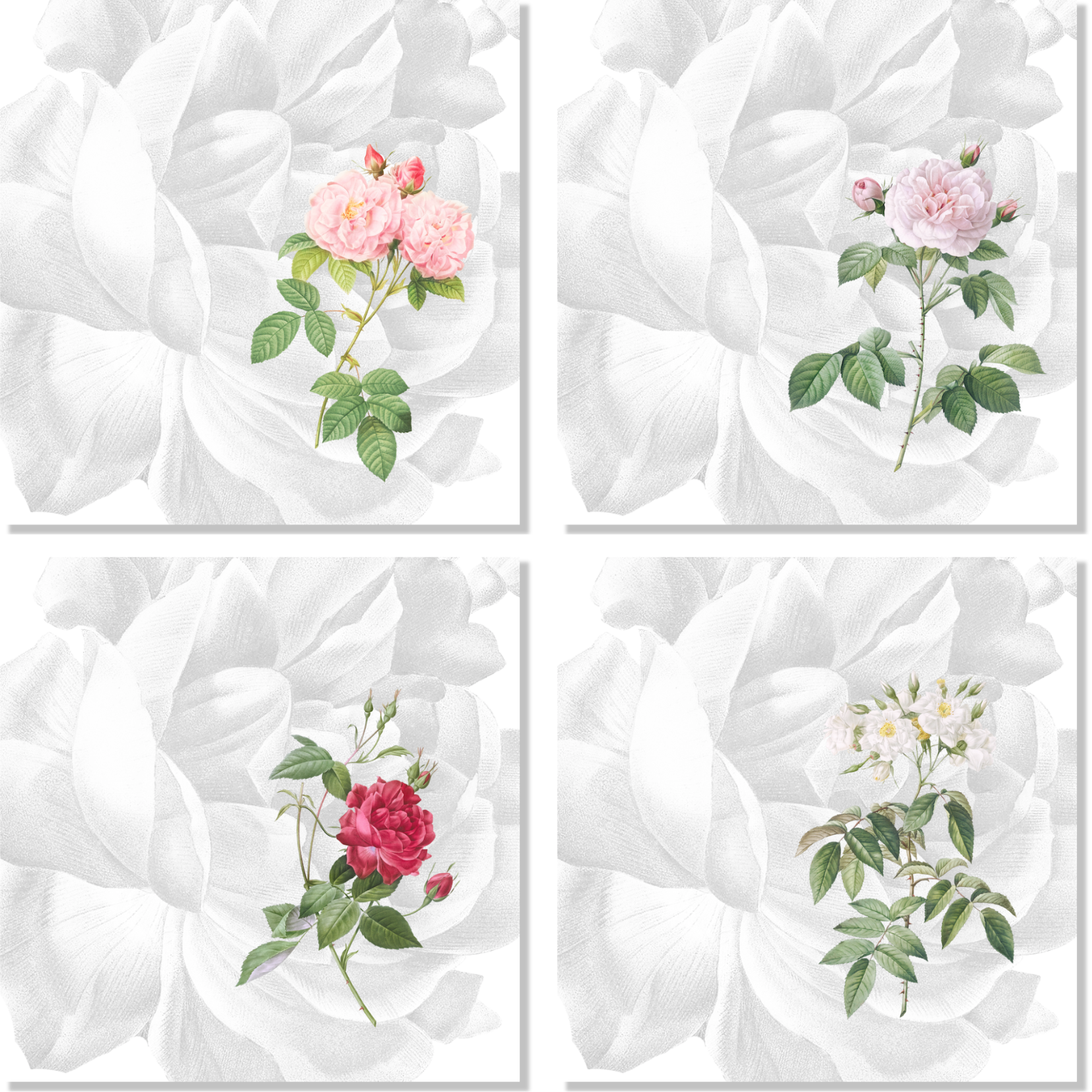 Set Of 4 Napkins Roses 100% Made in Italy