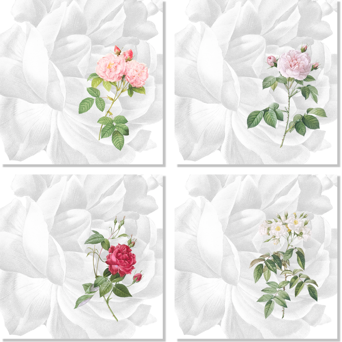 Lot de 4 serviettes Roses 100% Made in Italy