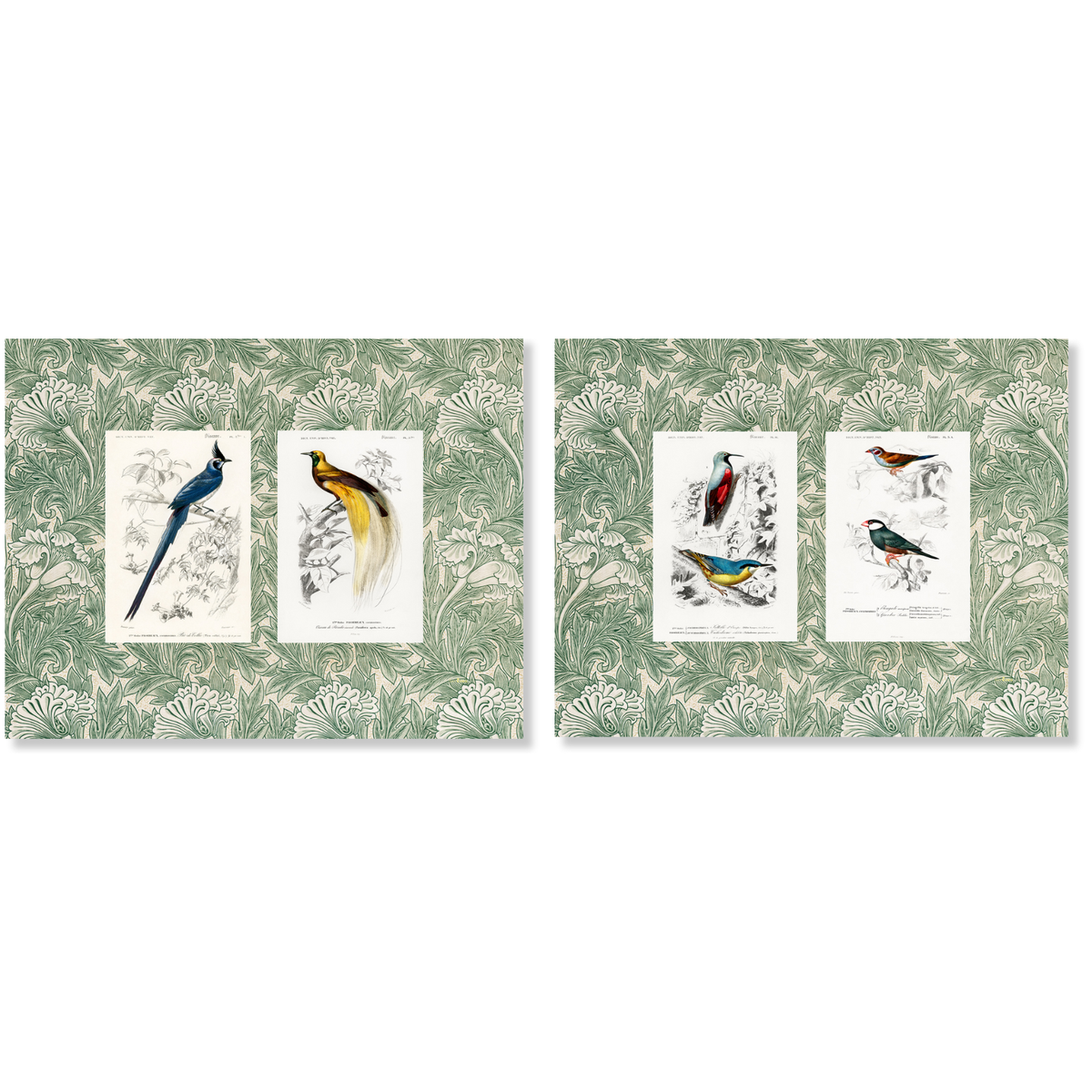 Set aus 2 Tischsets Set in Panama Baumwolle Cuvier