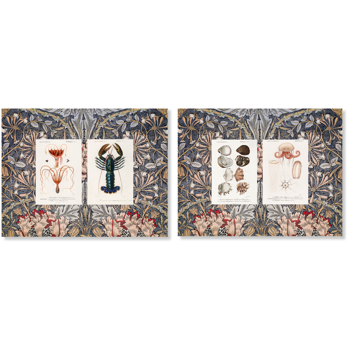 Lot de 2 sets de table en panama de coton Haeckel