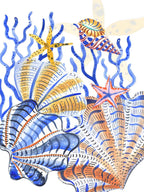 Kitchen Towels Shell Bay, 100% Made in Italy