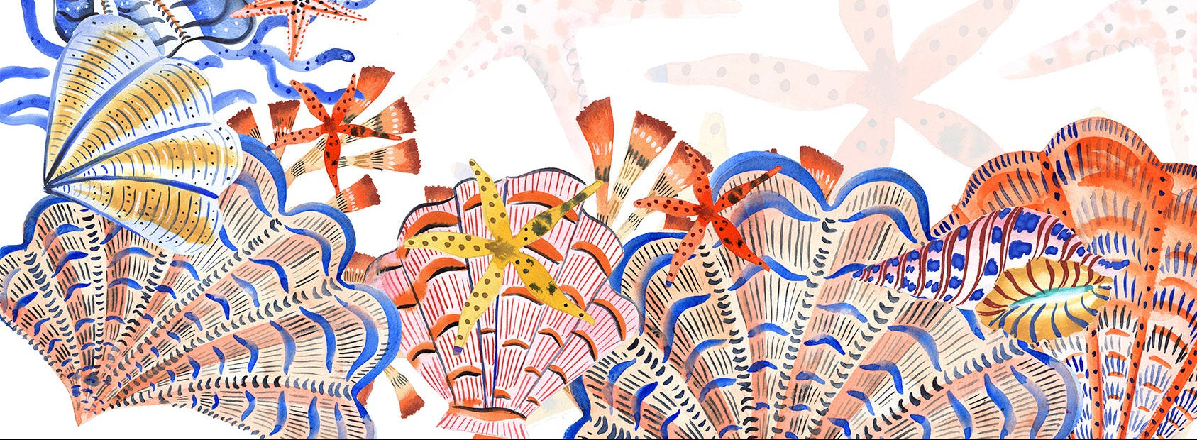Colorful seashell pattern on a white background