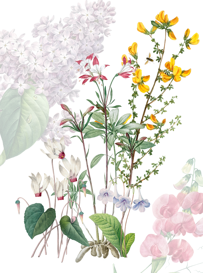 Kitchen Towels Spring, 100% Made in Italy