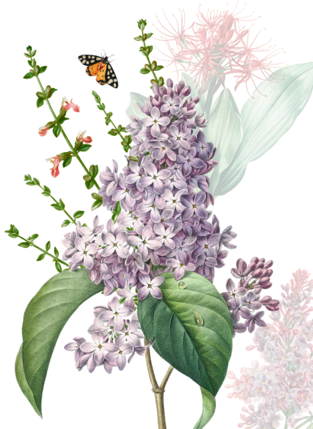 Kitchen Towels Spring, 100% Made in Italy