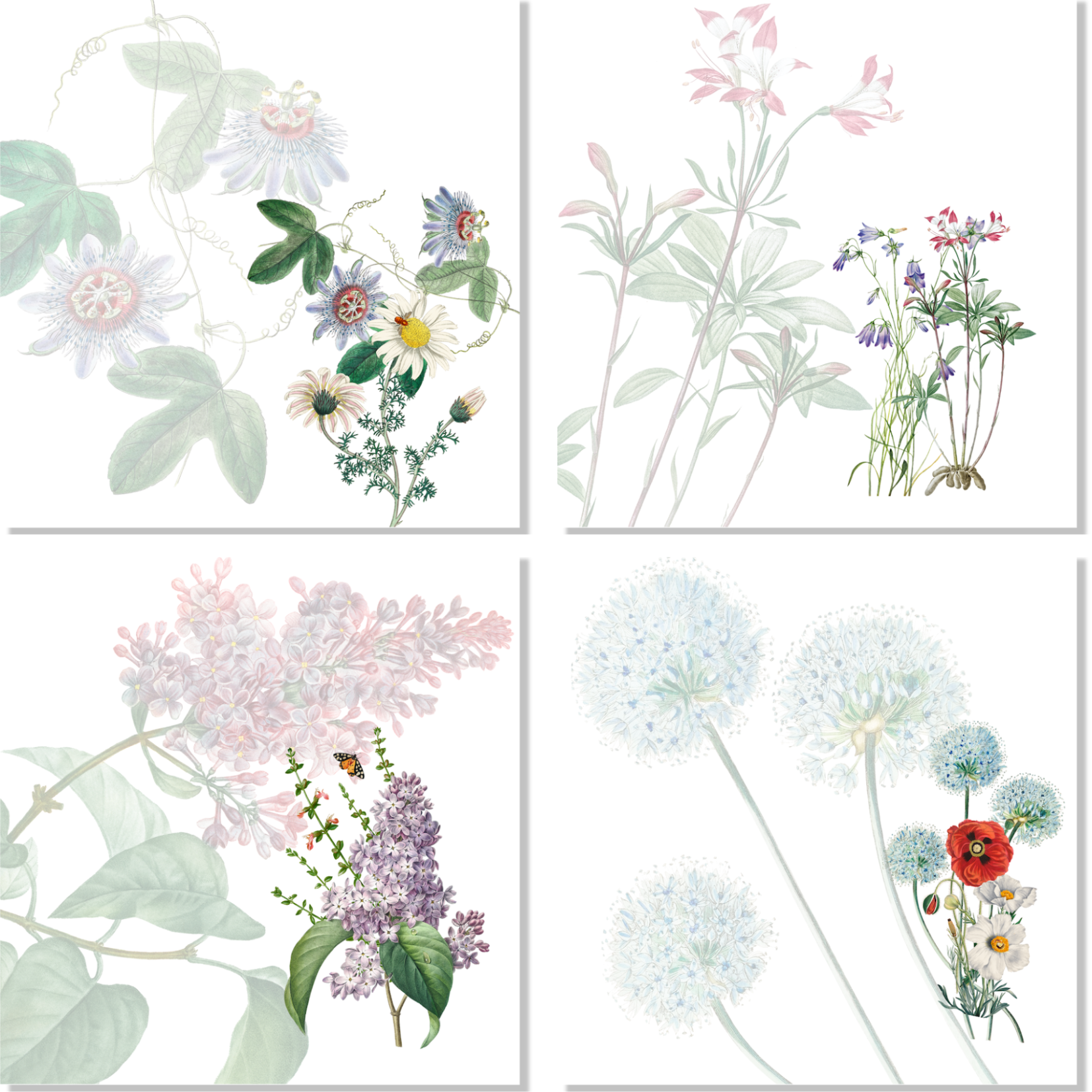 Set Of 4 Napkins Spring 100% Made in Italy