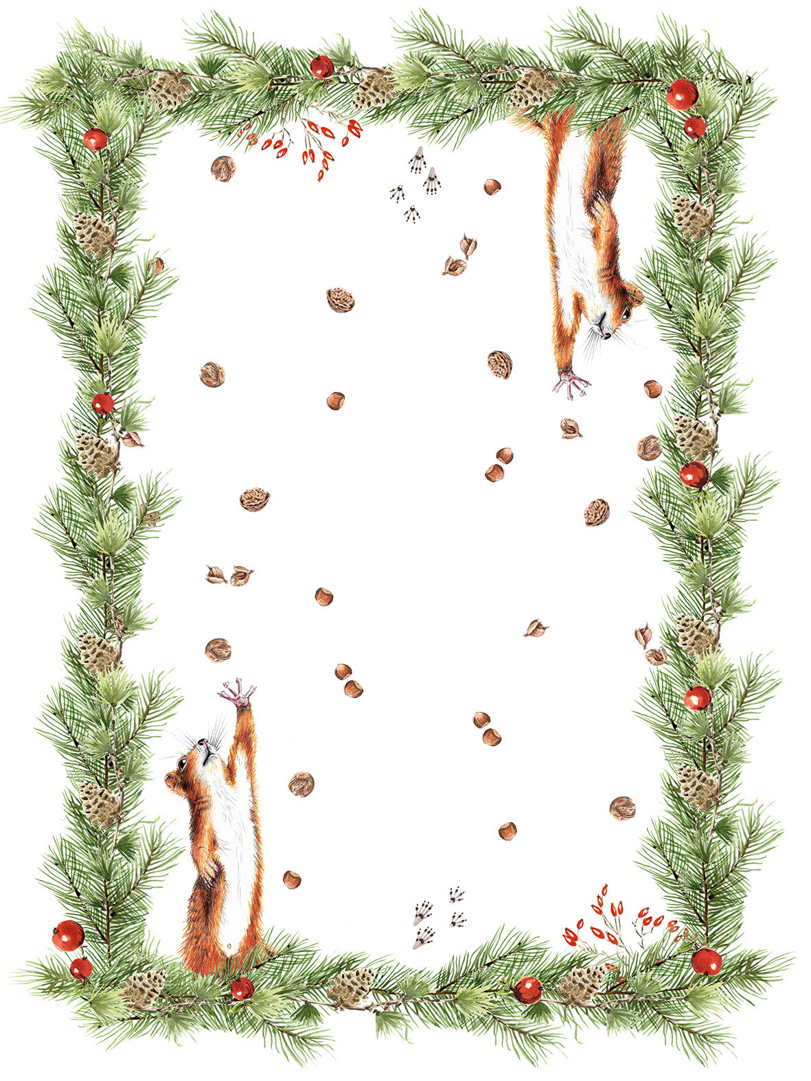 Paño de cocinas «The Squirrel», 100% Made in Italy - The Napking