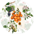 Set de 2 sets de table ronds en hardboard «Summer fruit» 100% Made in Italy - The Napking