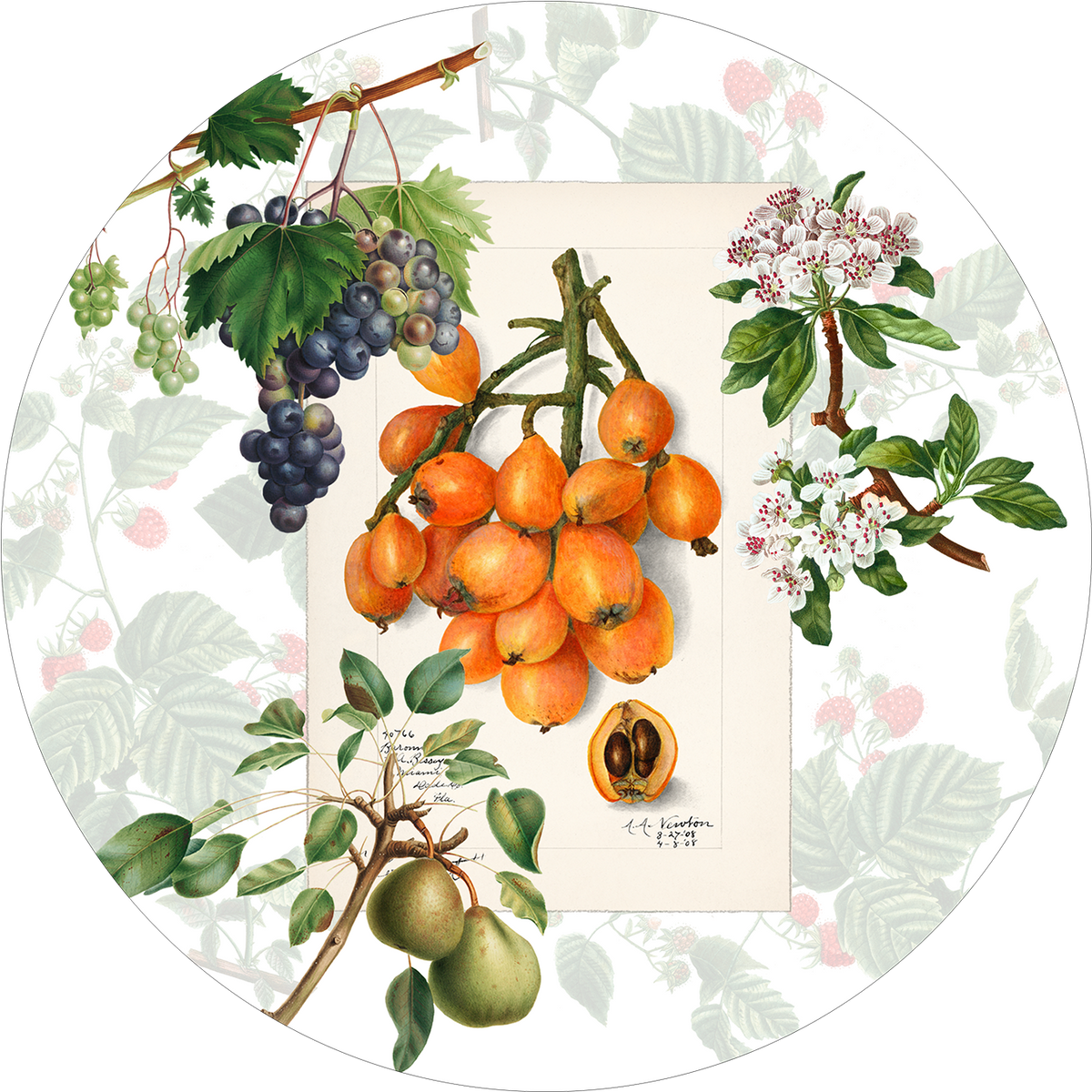 Set of 2 round hardboard manteles individuales «Summer fruit» 100% Made in Italy - The Napking