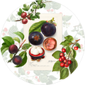 Set of 2 round hardboard manteles individuales «Summer fruit» 100% Made in Italy - The Napking