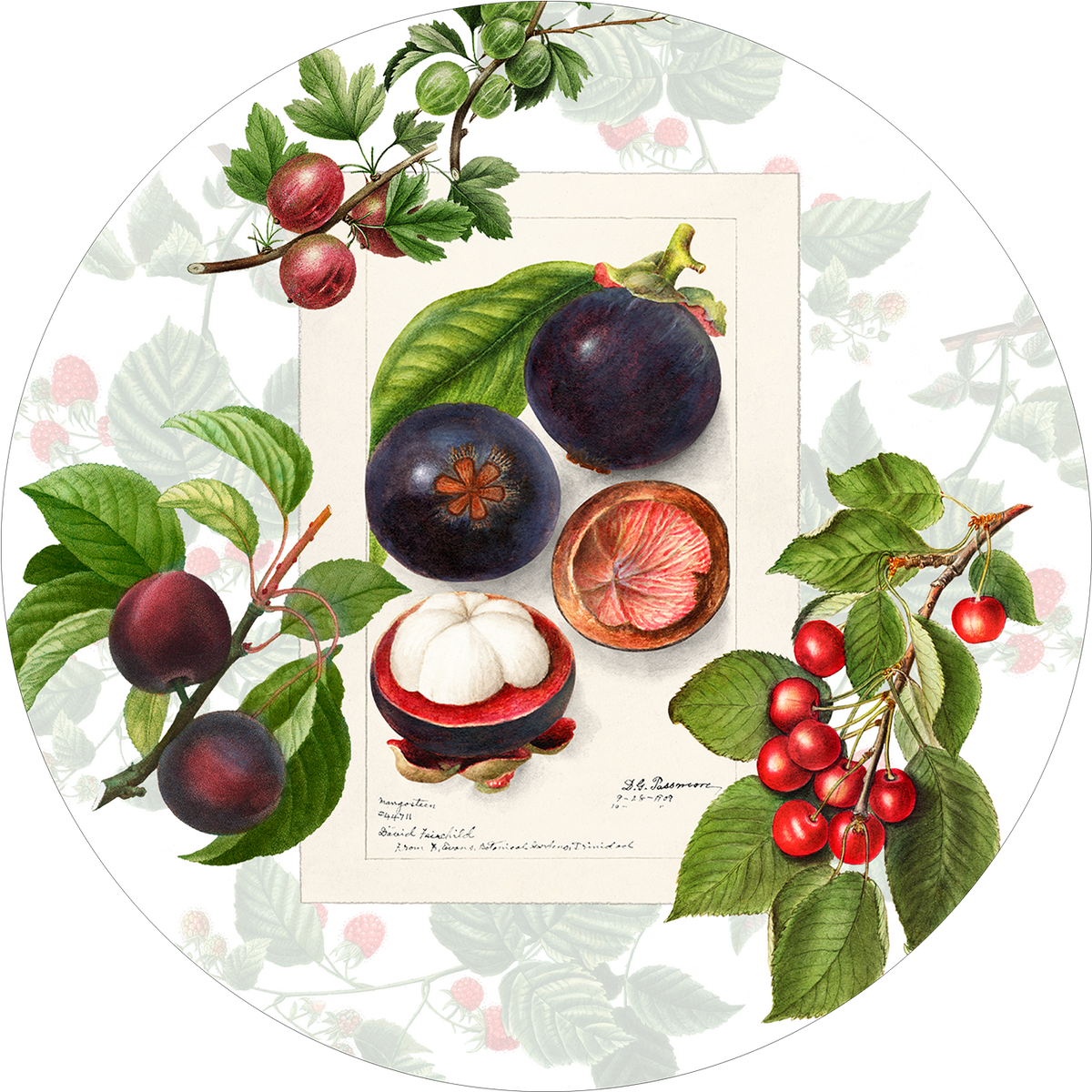 Set of 2 round hardboard manteles individuales «Summer fruit» 100% Made in Italy - The Napking