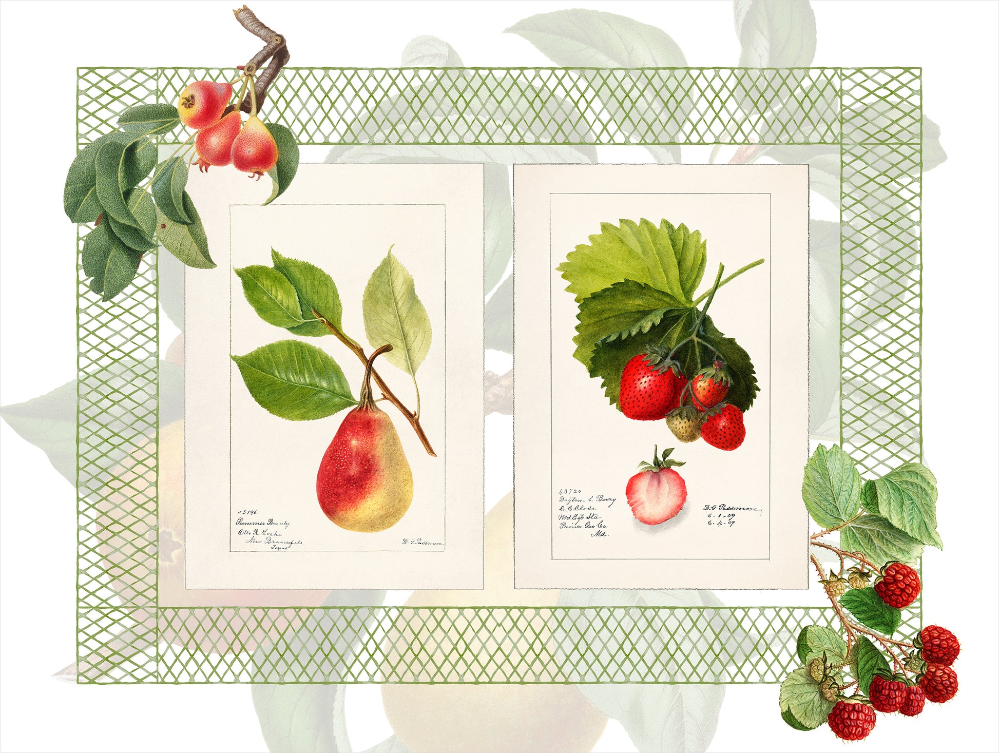Set of 2 rectangular hardboard placemats «Summer fruit», 100% Made in Italy - The Napking