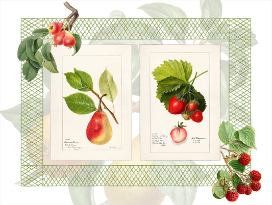 Set of 2 rectangular hardboard placemats «Summer fruit», 100% Made in Italy