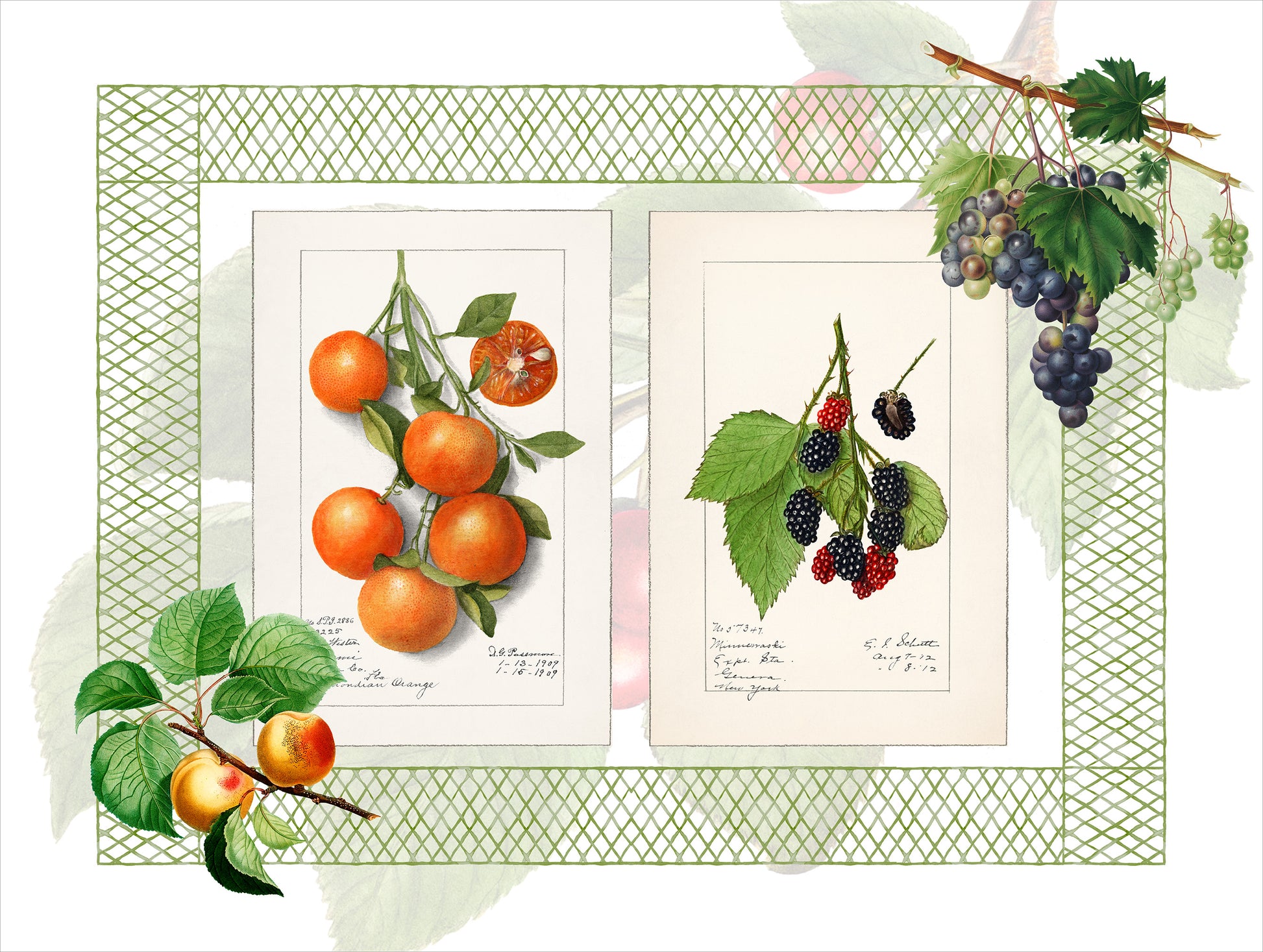 Set of 2 rectangular hardboard placemats «Summer fruit», 100% Made in Italy - The Napking