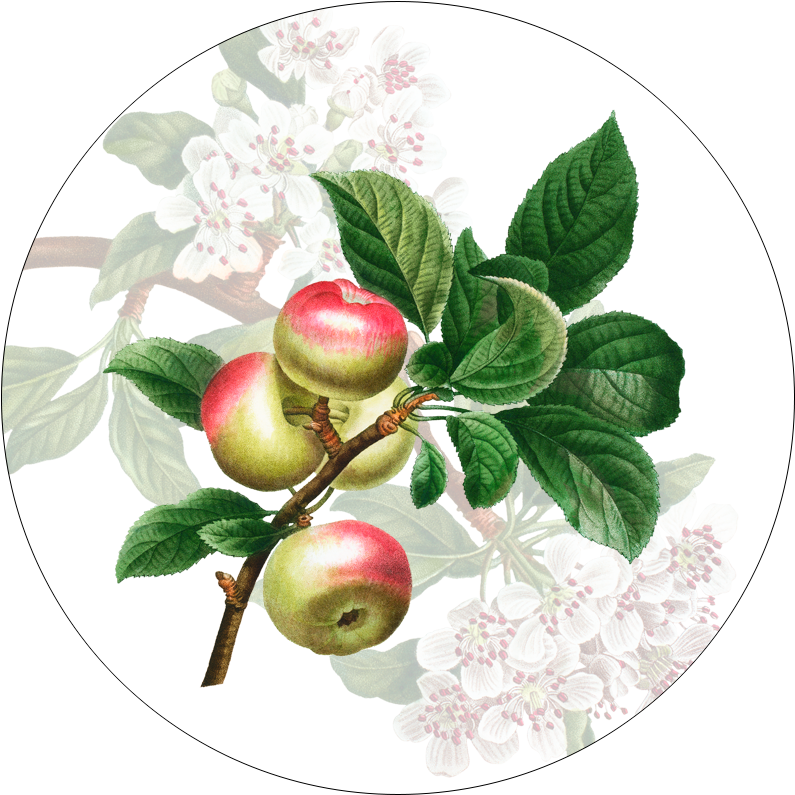 Set of 2 coasters «Summer fruit» wood and cork - 100% Made in Italy - The Napking
