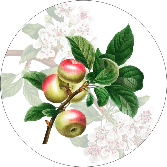 Set of 2 coasters «Summer fruit» wood and cork - 100% Made in Italy