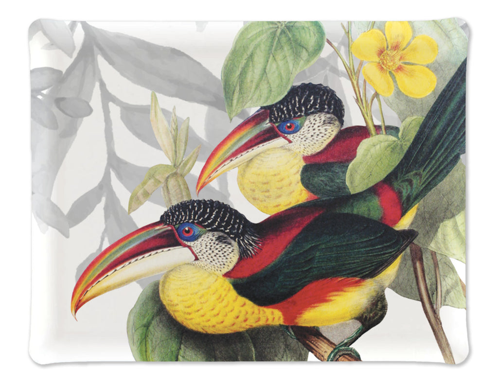 Tray «Toucans»