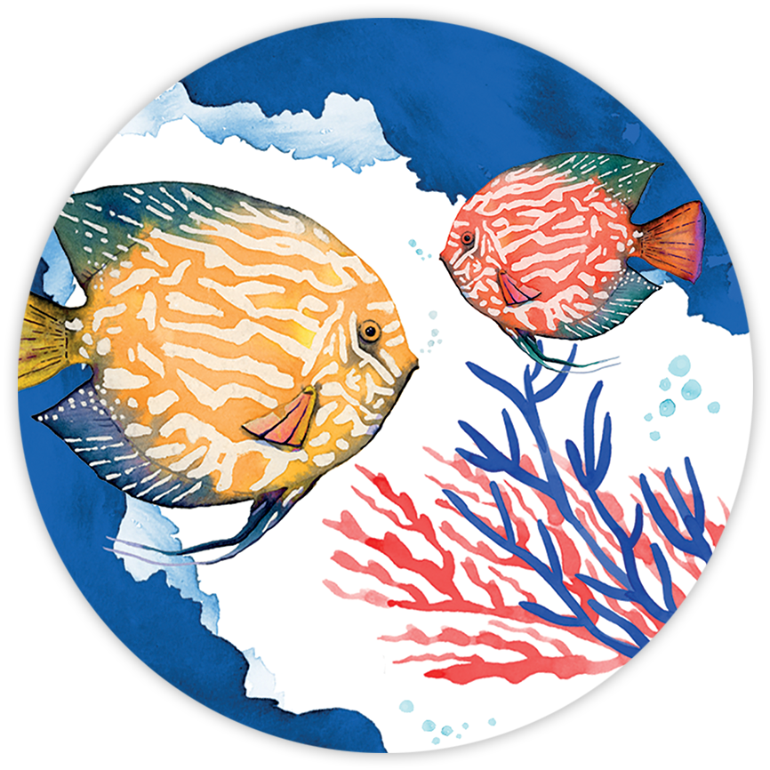 Set of 2 coasters  «The Reef» wood and cork - 100% Made in Italy