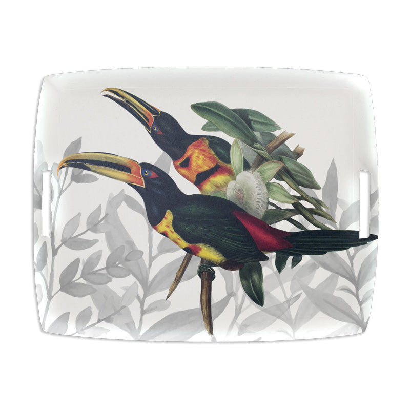 Tray «Toucans»