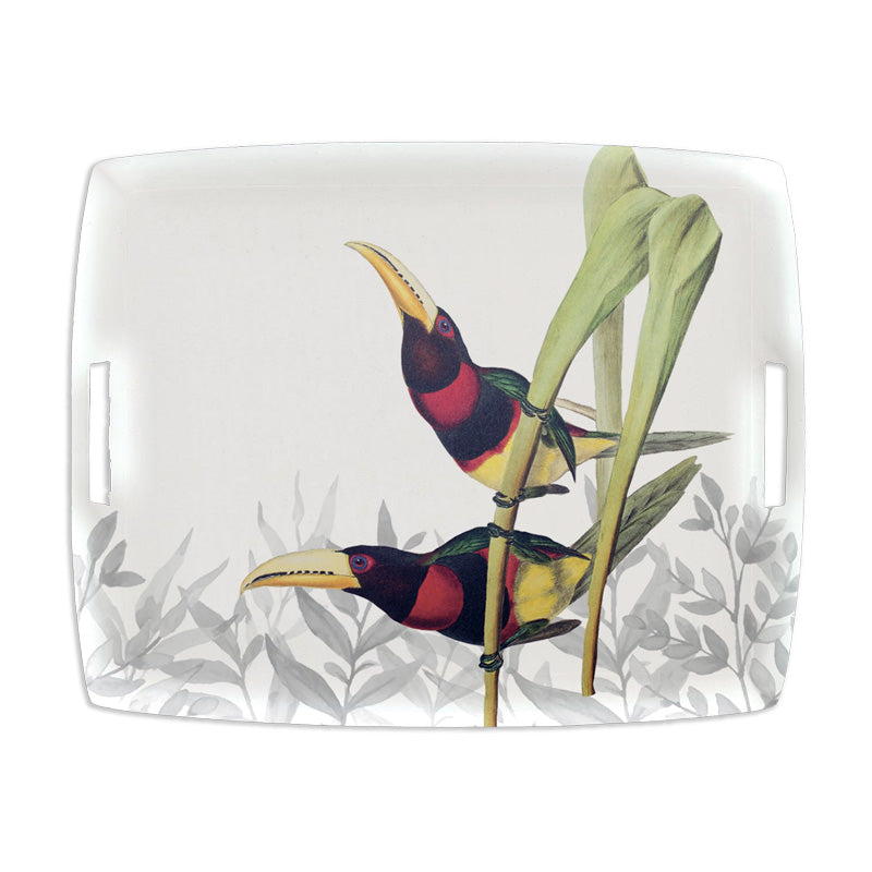 Tray «Toucans»
