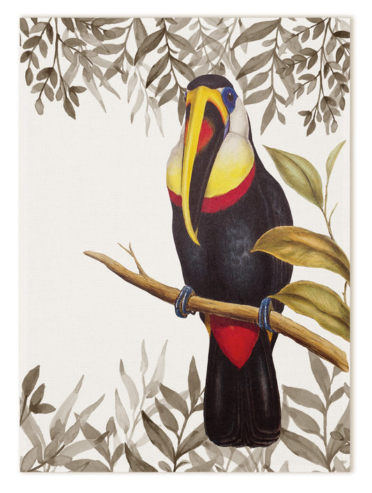 Kitchen Towels «Toucans», 100% Made in Italy