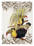 Paño de cocinas «Toucans», 100% Made in Italy The Napking